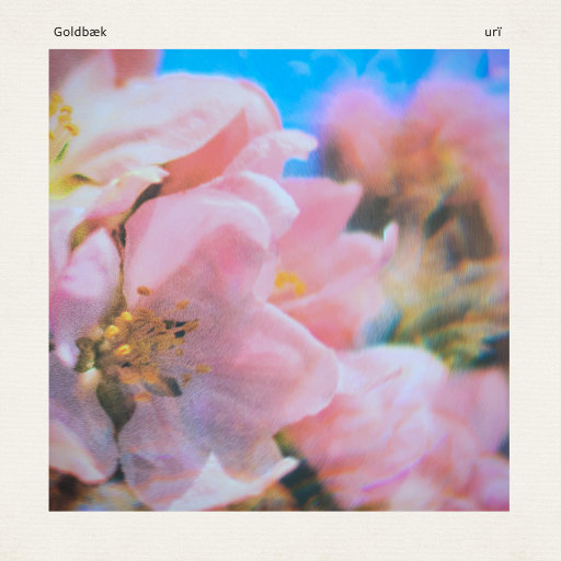 女子下部农场BBw另类
